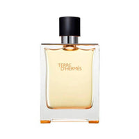 Terre Men's perfume
