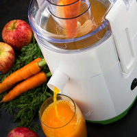 Fruits and vegetables Russell Hobbs Explore Juicer 22880