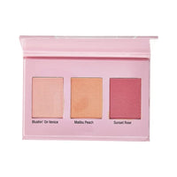 باليت احمر خدود ويت ان وايلد كولور ايكون متعدد الالوان Wet n Wild Color Icon Blush Palette, Multicolor, 11 g