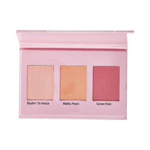 باليت احمر خدود ويت ان وايلد كولور ايكون متعدد الالوان Wet n Wild Color Icon Blush Palette, Multicolor, 11 g