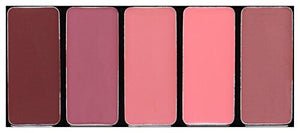 احمر شفاه من لوريال باريس كوزماتيكس كولور ريش لا باليت نود L'Oreal Paris Cosmetics Colour Riche La Palette Lip, Nude, 0.15 Ounce