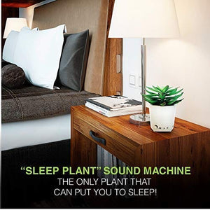 آلة الصوت - أصوات المروحة Sleep Plant - Sound Machine - Fan Sounds - White Noise - Nature Sounds