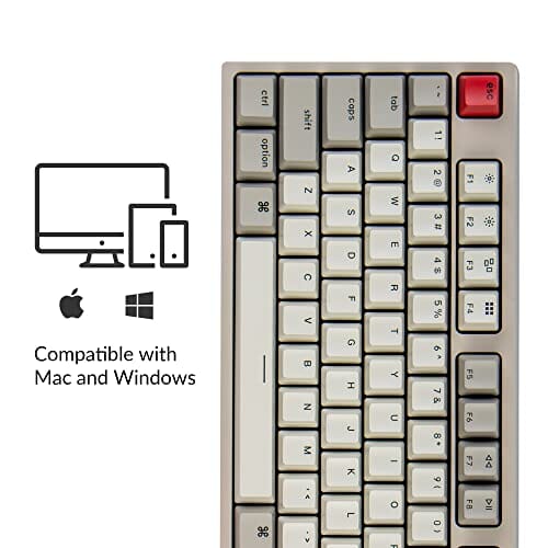 لوحة مفاتيح ميكانيكية سلكية قابلة للتبديل السريع Keychron C1 Hot-swappable Wired Mechanical Keyboard for Mac Layout, Keychron Mechanical Blue Switch/USB Type-C Cable/Double-Shot ABS Keycaps Tenkeyless 87 Keys Computer Keyboard for Windows PC